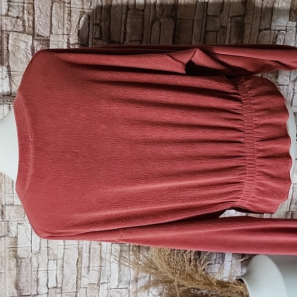 Zara Elegant Rust Long Sleeve Top - Picture 3 of 10